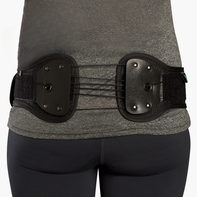 Gravid bälte - Evergreen