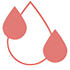 Collection image for: Hälsokontroller